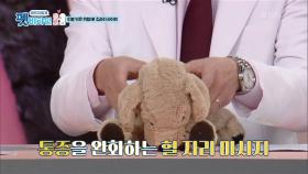 ★강아지 마사지법★ 안정감을 주는 강아지 마사지 | KBS 210121 방송