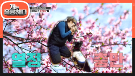 이수경과 듀엣 도전? 하모니카와 함께 노래하는 절대음감犬 두식이! | KBS 200914 방송