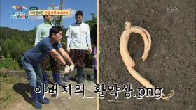 이번엔 팀전이다! 마치 사람 같은 기상천외한 인삼 모양 따라하기!! | KBS 201010 방송