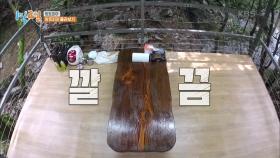먹선생 세윤, 정리왕 되다! | KBS 201011 방송