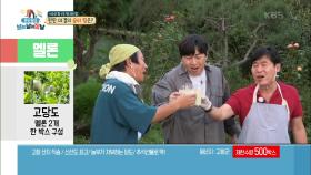 고창 멜론을 위하여! 연복 셰프의 회심의 고구마 맛탕&멜론 주스~ | KBS 201001 방송