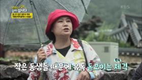 작은 동생들 때문에 유독 살쪘다는 소리에 버럭 하는 ‘ 키 큰언니‘ 원숙!! | KBS 200909 방송