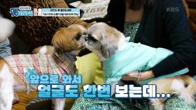 10년 만에 상봉! 아들 또리와의 만남 | KBS 201112 방송