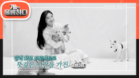 무엇이든 재보하개~ 천재 몰티즈 두부♨ (ft.달력화보 성공적♥) | KBS 201102 방송