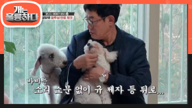 상황별 질투심 반응 체크, 매일 반복되는 바비와 슈의 싸움! | KBS 201130 방송