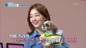 연수의 반려견, 세리의 건강 시그널은? | KBS 201112 방송