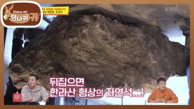 송 사장이 담당한 고깃집 인테리어★ 고생 끝에 설치한 조경석... 근데 뒤집혔다?! | KBS 210103 방송