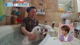 강아지들과 같이 씻는 동근! 강아지 반신욕의 효능은? | KBS 201203 방송