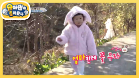 화제의 신곡 ‘돼지토끼’ 실제 주인공이라 하영♡ | KBS 201122 방송
