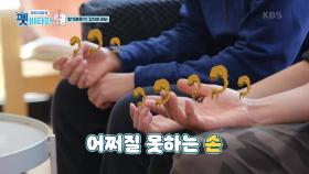 유별난 리버의 냄새.. 과연 이유는? | KBS 201210 방송