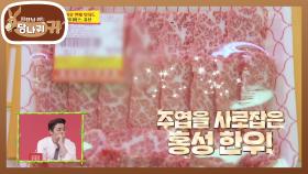 아침부터 시작된 한우 쇼핑♪ 현주엽 손에 싹싹 비워진 냉장고~^^ | KBS 201206 방송