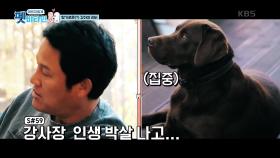 연기로 성진과 교감하는 천재 만능견 ‘리버’ | KBS 201210 방송