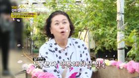♥ 사랑은 꽃마차를 타고♥ 원숙만을 위한 장미꽃 마차 | KBS 201111 방송