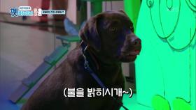 ※충격※ 리버의 건강 상태는? | KBS 201210 방송