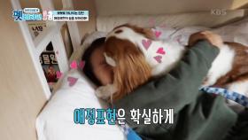 똥 먹는 강아지와의 뽀뽀 괜찮을까요? | KBS 201203 방송