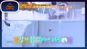 언제나 물고기를 위해 알맞은 온도를 맞추는 상이네 수족관! | KBS 201124 방송