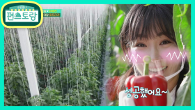 헐~ 비쥬얼 쇼크 파프리카 농장에 작업왕 이유리가 떴다★ | KBS 201120 방송