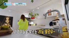 댄싱퀸 완선, 냥이들과의 모닝 댄스(?) 타임~ | KBS 201126 방송
