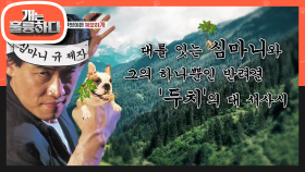 충격적이었던 지난주 제보하개! 촬영 후 남은 송로버섯을 찾아가다?! | KBS 201207 방송