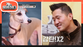 모델 포스 뿜뿜! 밥도 우아하게 먹는 롱다리 비트에겐 도대체 무슨 문제가? | KBS 210104 방송