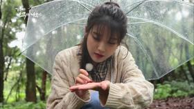 숲의 느림 미학과 배꼽털달팽이 | KBS 201003 방송