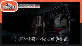 ‘보호자와 같이가는것이 좋을뿐... ‘하울&짠이 마음을 대변하는 강형욱 | KBS 210125 방송