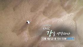 [예고] 다시, 강을 생각하다 [다큐On]| KBS 방송