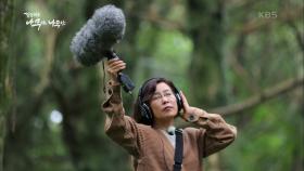 아름답게 울려 퍼지는 다양한 소리의 숲 | KBS 201002 방송