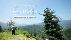 [예고] 2020 사유림, 보고서 숲이 미래다 [다큐On] | KBS 방송