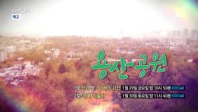 [예고] 용산공원(2부작) - 1부. 안과 밖, 두 개의 시선, 2부. 경계, 허물다 | KBS 방송