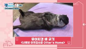 전국 반려동물 자랑 TOP3＆미방송 반려동물 자랑 | KBS 210128 방송