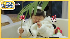 아기 판다에게 반한 돼끼 판다 도하영 | KBS 210307 방송