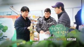 [예고] 산골짝의 세 남자 | KBS 방송