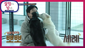 개들에게 인기폭발☆ 보는 사람 마음 찢어지게 하는 슬픈 사연을 가진 강아지.. | KBS 210313 방송