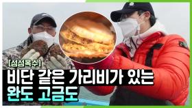 [섬섬옥수] 사람이 꽃보다 아름답고 비단 같은 가라비가 있는 완도 고금도 | KBS 210312 방송