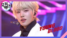 Young Blood - 드리핀(DRIPPIN) | KBS 210319 방송