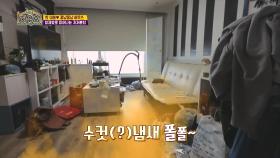 한 이불♥ 꽁냥꽁냥 하우스 - 형제愛로 피어나는 지저분함.| KBS Joy 170525 방송