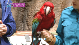 정서 발달을 위한 동물과의 교감! ＜보이프렌드의 헬로 베이비＞| KBS Joy 170602 방송