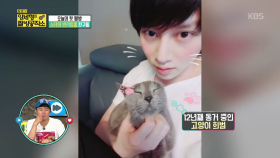 스타들의 사랑 듬뿍 받고 자라는 반려동물 친구들♥| KBS Joy 180708 방송