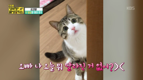 공감짤! 두 얼굴의 여자 친구| KBS Joy 180610 방송