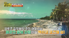 크루즈 승무원이 추천하는 가장 아름다운 바다 ‘멕시코 코즈멜 섬’| KBS Joy 180722 방송