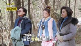 평창의 기운을 제대로 받을 힐링 명소, 전나무 숲길 | KBS 210329 방송