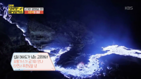 세상에 이런 일이! 신기한 자연 현상 2탄!| KBS Joy 180527 방송