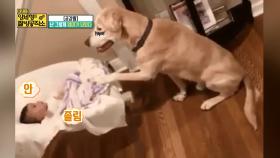 [공감짤] 난 그렇게 엄마가 되었다 ~!!| KBS Joy 180521 방송