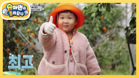 ‘제주’많은 하영이의 폭풍 귤 수확! | KBS 210404 방송