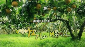 KBS대전 특별기획 아산 배나무골의 비밀정원 / KBS대전 20150925 방송