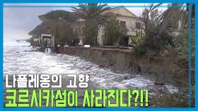 코르시카 섬의 경고 | KBS 210403 방송