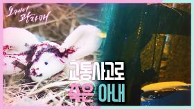 [스페셜] 비 오는 날, 차에 접근하는 낯선 이! 교통사고로 죽은 아내...! | KBS 210417 방송