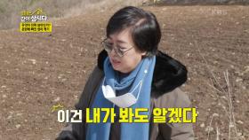 무엇이 진짜 냉이인가?.. 혼란에 빠진 냉이 캐기 | KBS 210419 방송