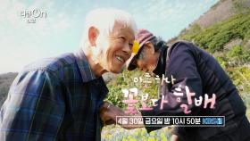 [예고] 아흔하나, 꽃보다 할배 | KBS 방송